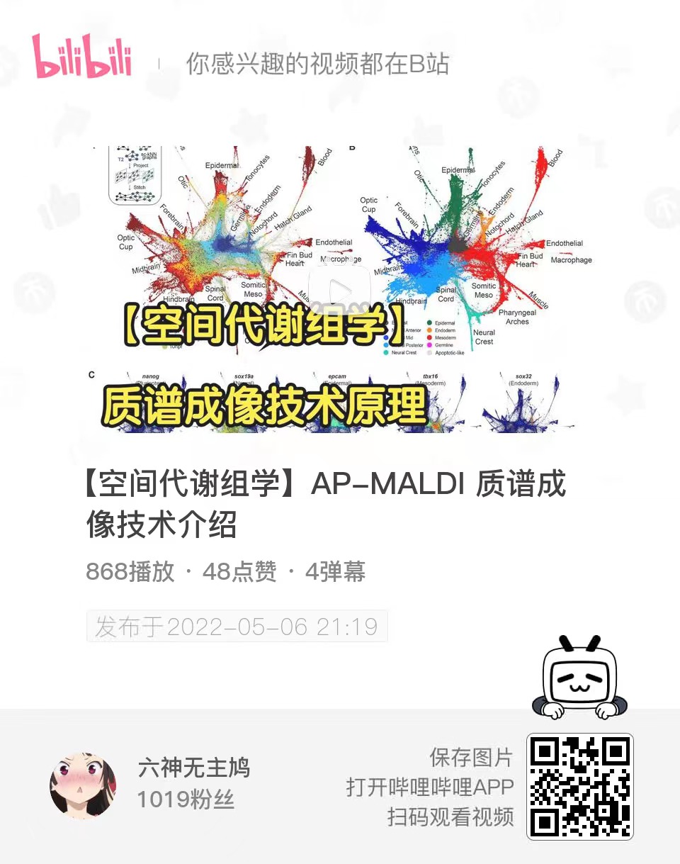 【空间代谢组学】AP-MALDI 质谱成像技术介绍
